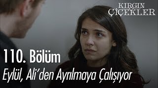 Eylül Aliden ayrılmaya çalışıyor  Kırgın Çiçekler 110 Bölüm [upl. by Cadmarr660]