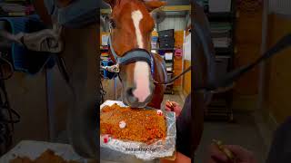 horse cake lmk if yall want recipe [upl. by Sivia]