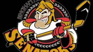 Binghamton Senators Goal Horn [upl. by Yrak129]