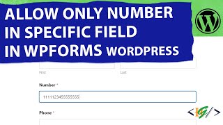 How to Allow Only Number in Field using Input Mask in Form in WPForms WordPress [upl. by Milton]