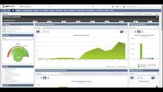 NetSuite Overview and Demo [upl. by Vachell]