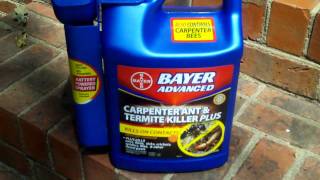 Bayer Carpenter Ant Killer Product Demonstration using Kodak Zi6 HD Flip Camera [upl. by Chun]