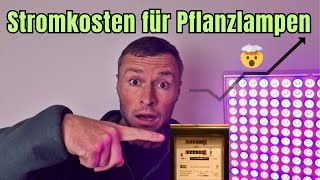 Wie teuer ist der Strom für Pflanzlampen wirklich 💸🌱 [upl. by Aiva]