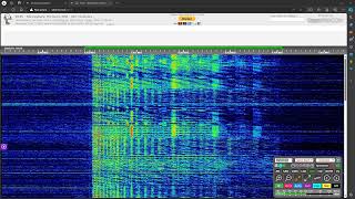 WAVE Radio 6950 USB 0213 UTC 3 AUG 2024 [upl. by Neelav]