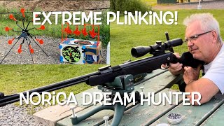 Out plinking with the Norica Dream Hunter amp ATFLBOX steel targets [upl. by Longerich]