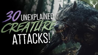 30 UNEXPLAINED Creature Attacks and Encounters COMPILATION [upl. by Male505]