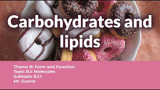 B11 Carbohydrates and lipids  IB Biology SL NEW SYLLABUS First assessment 2025 [upl. by Shererd]