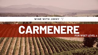 Grape Varieties  Carmenere Intermediate Version ideal for WSET Level 2 Wine [upl. by Araeic]