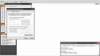 Configurar DNS de google en Windows XP [upl. by Jerad706]