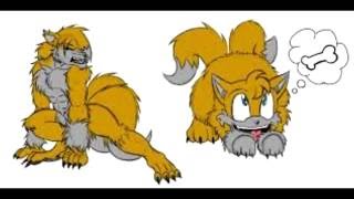 Tails The Werefox [upl. by Lauretta]