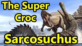 Sarcosuchus The Prehistoric Super Croc [upl. by Ier]