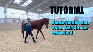 Reiterfreuden Folge 16  Tiere bis unters Dach  SWR Plus [upl. by Snook972]