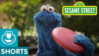 Sesame Street Catch allnew episodes of Sesame Street [upl. by Dalpe103]