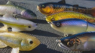 Spring Swimbait Fishing Everything You Need To Know [upl. by Ysabel]