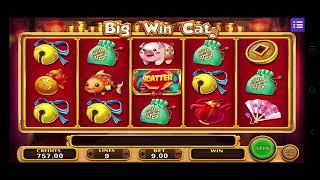 BIG WIN CAT MALAYSIA MEGA888 TODAY [upl. by Mairam382]