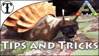 Fast Achatina Snail Taming Guide  Ark  Survival Evolved Tips and Tricks [upl. by Ario]