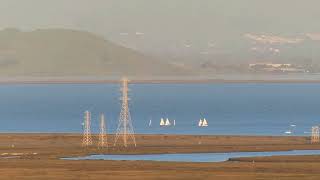 Spinnaker Sailing Class  February 28 2024  San Francisco Bay [upl. by Odnam]