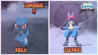 Como Conseguir A RIOLU Y LUCARIO En Leyendas Pokemon Arceus [upl. by Rhodie]