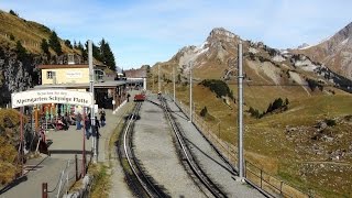 Scenic  Schynige Platte Railway for a view from the top of the world Switzerland [upl. by Anialem]