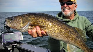 Midwest Walleyes – Angling Edge TV [upl. by Entruoc976]