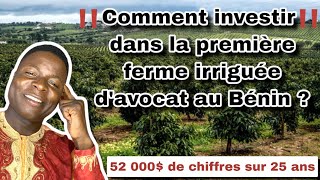 Comment investir dans la première ferme d’avocat irriguée du Bénin [upl. by Rolan844]