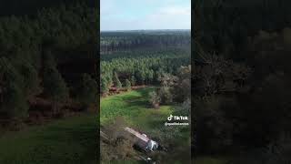 Dans les Landes les Chapons Fermiers des Landes sont élevés en liberté dans la forêt [upl. by Tony112]