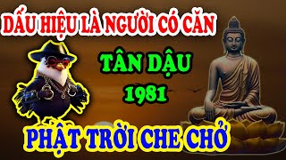 DẤU HIỆU VÀNG Tuổi Tân Dậu 1981 Là Người Có Căn Lành Được Phật Cho Lộc ĐỔI ĐỜI Giàu To [upl. by Annahsat]