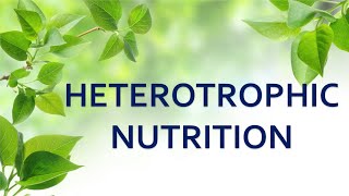 HETEROTROPHIC NUTRITION  NUTRITION IN PLANTS  CLASS 7 [upl. by Leeth]