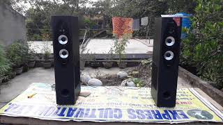 Mini Jbl Fampd t60x out door sound test Best tower speaker [upl. by Hammock]