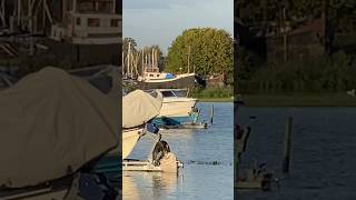 Hochwasser in Hatenboer 🇳🇱 2 [upl. by Garner]