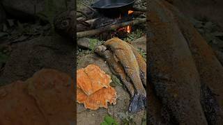 Trout Catch amp Cook and Chicken of the Woods with Doug [upl. by Enelehcim41]