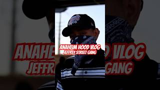 TRIP TO JEFFREY STREET GANG OF ANAHEIM hoodvlog anaheim comingsoon foryoupage fypage [upl. by Refotsirk]