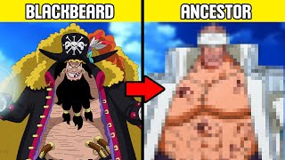 The Origin of Marshall D Teach  Blackbeard SPECIAL LINEAGE Explained [upl. by Kerman]