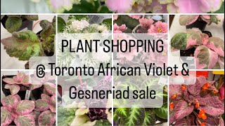 Plant Shopping  The Toronto African Violet and Gesneriad Annual show amp sale [upl. by Hooper]