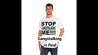 Gangstalking is Real Should be Studied Conference Keynote Speech [upl. by Mathian]