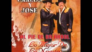 Carlos y Jose  Al Pie de un Arbol SUSCRIBETE [upl. by Yeltnarb]