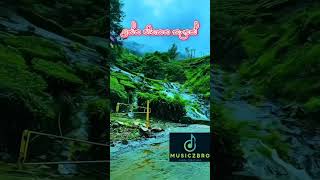 Nuwara wewataMusiczbro music newmusic livemusic newsong live shorts nature [upl. by Ahsin]