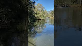 Middle reach of Jindalee Creek [upl. by Yi]