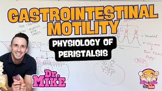 Motility of the Gastrointestinal Tract  Peristalsis Physiology [upl. by Cattima410]