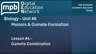 MPB Biology Unit 6 Lesson 4 Gamete Combination [upl. by Narayan498]