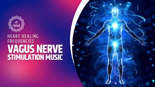 Vagus Nerve Stimulation Music for Heart Wellness  Heart Healing Frequencies [upl. by Adnarym270]