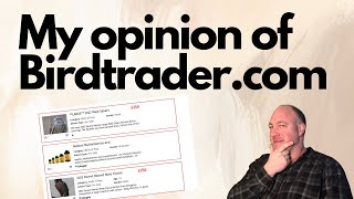 Buying birds of prey from the birdtrader website  a guide and my opinion  Falconry advice [upl. by Halbeib234]