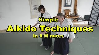 Aikido Techniques Simple Aikido Techniques [upl. by Seeto]