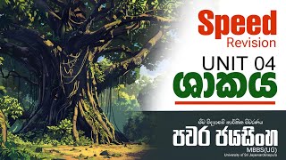 🌴ශාකය speed Revision  පවර ජයසිංහ Biology  unit04 biofreesessions pavarajayasinghe [upl. by Vonny984]