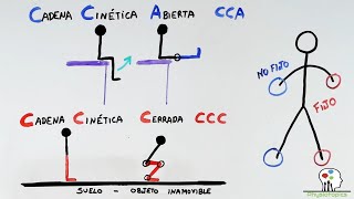 Cadena Cinética Abierta y Cerrada  Biomecánica [upl. by Ardnasyl870]