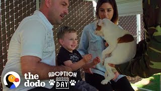 This Pittie Was Pregnant In A Shelter When She Found The Best Family  The Dodo Adoption Day [upl. by Luapsemaj]