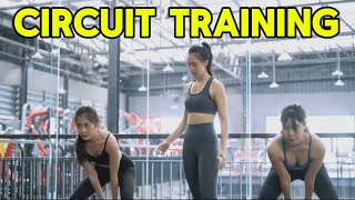 Circuit Training for Fat Loss [upl. by Aleunam899]