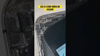 Así es como funciona la vibración de tu celular 📱🙌🏽 [upl. by Gussman]