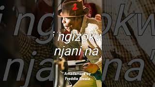 Amadamara by Freddie Gwala❤🇿🇦 music [upl. by Fry]