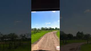 Entrando al campo de Edison Cavani 😮😱🌾⚽️🌾💪🏻🐮cavani boca uruguay [upl. by Arzed]